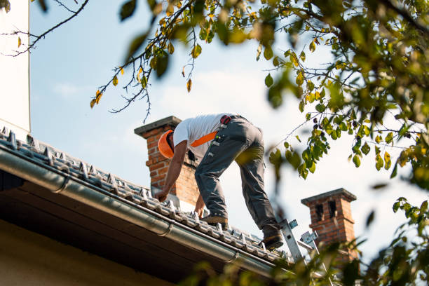 Residential Roof Replacement in La Feria, TX